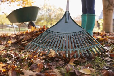 lowes rake|best rated leaf rakes 2022.